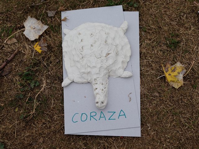 Coraza